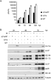 FIG 6