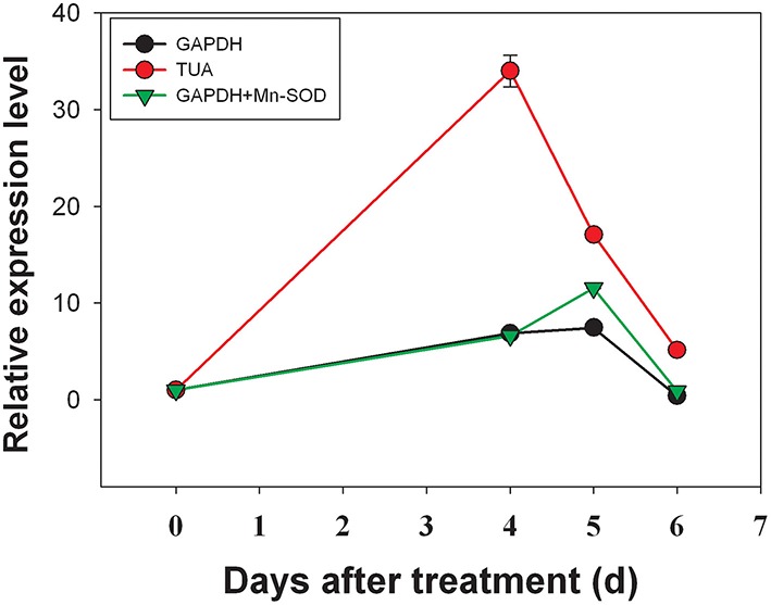 Figure 5