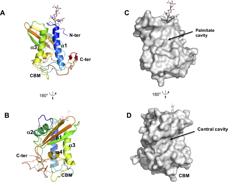 Fig. 2