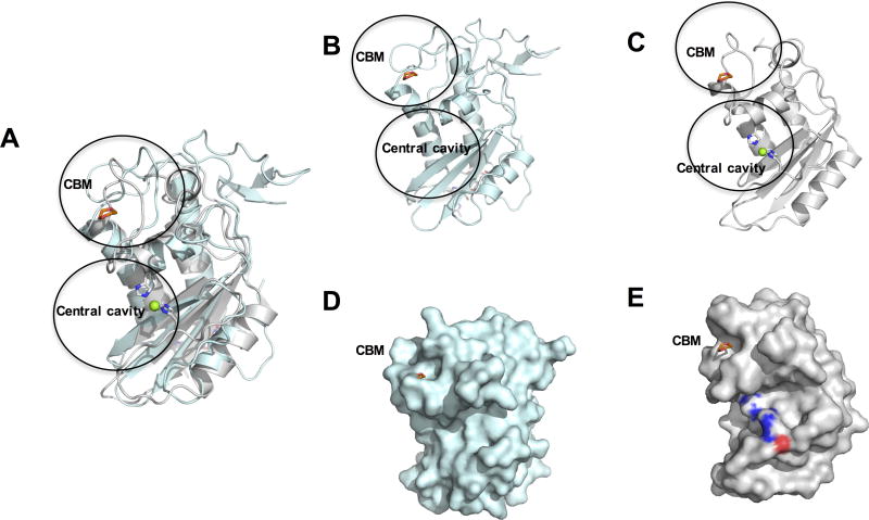 Fig. 5