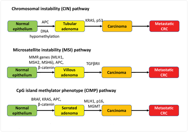 Figure 1: