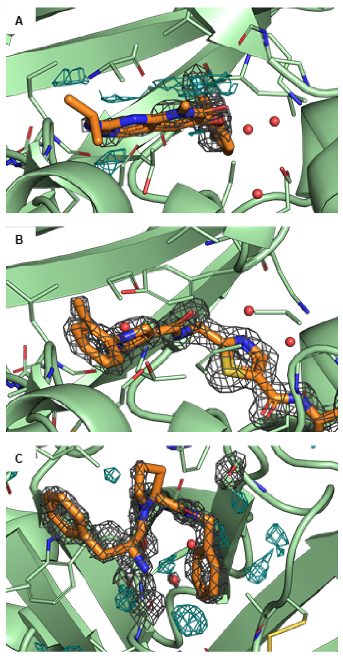 Figure 5.