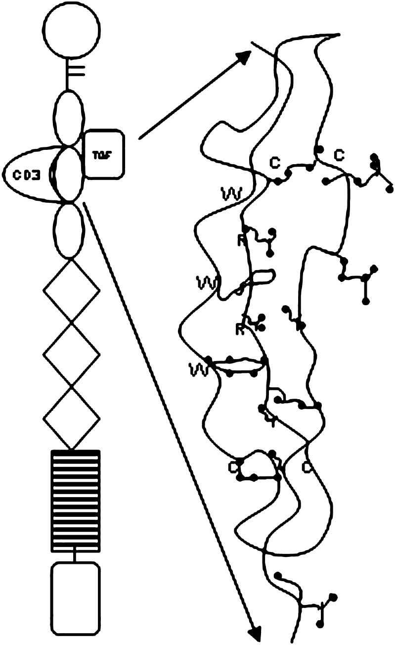 Fig. 3