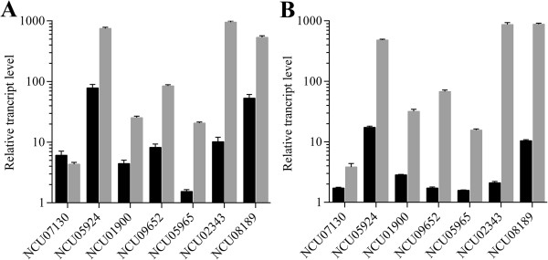 Figure 7