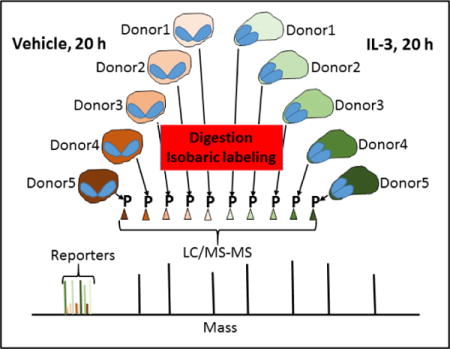 graphic file with name nihms964126u1.jpg