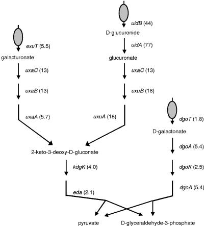 FIG. 4.