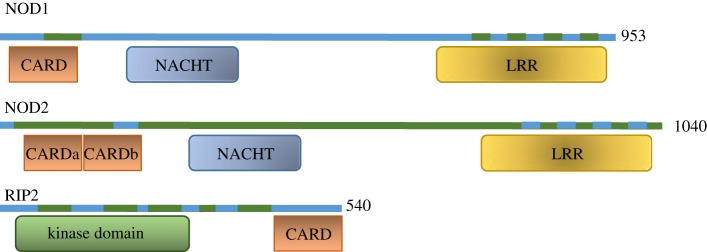 Figure 1.