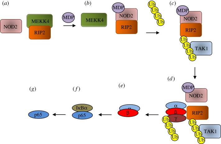 Figure 3.