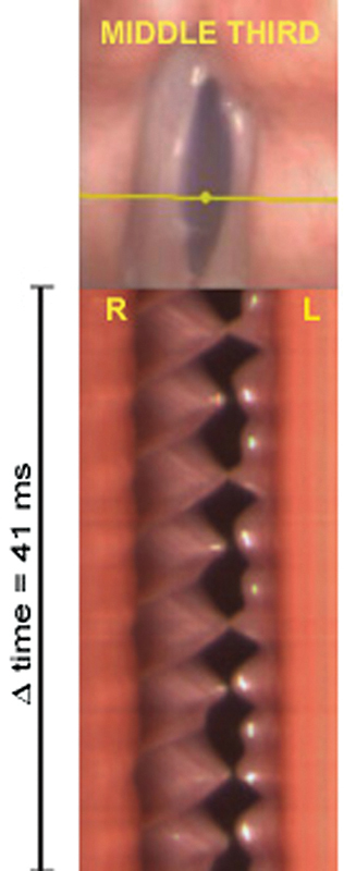 Fig. 10