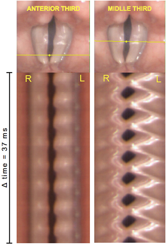 Fig. 6