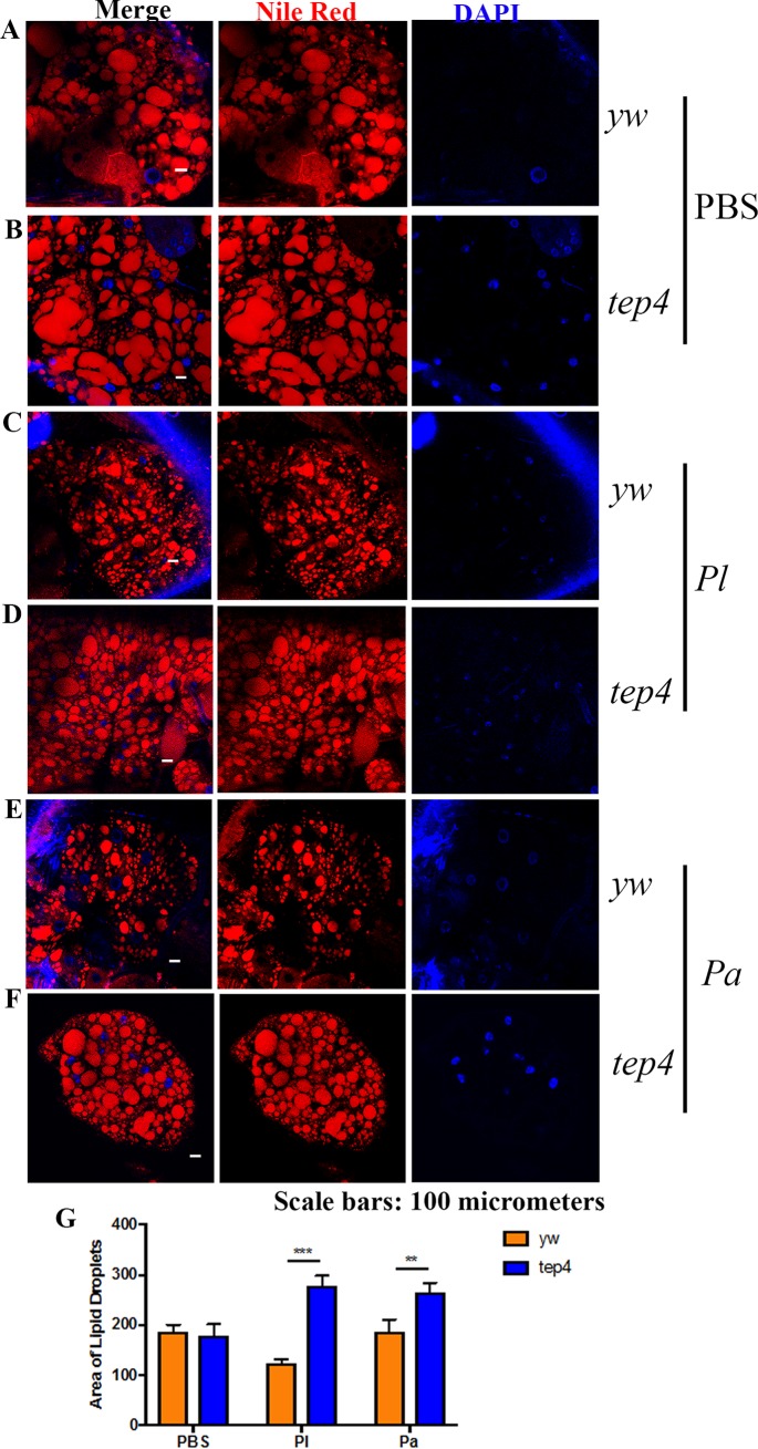 FIG 6