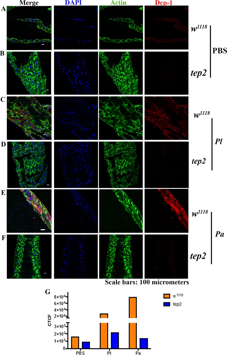 FIG 10