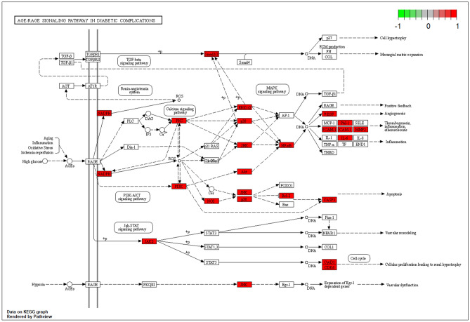 Figure 10