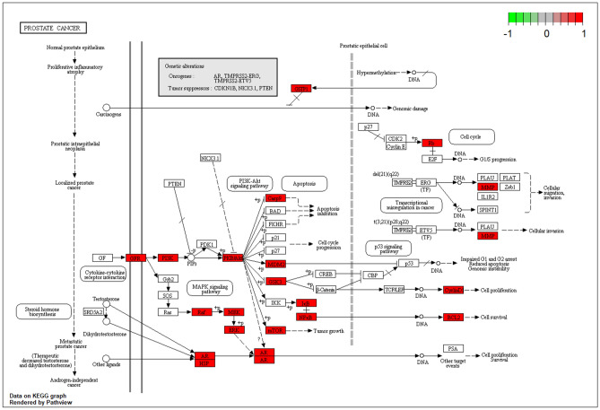 Figure 9