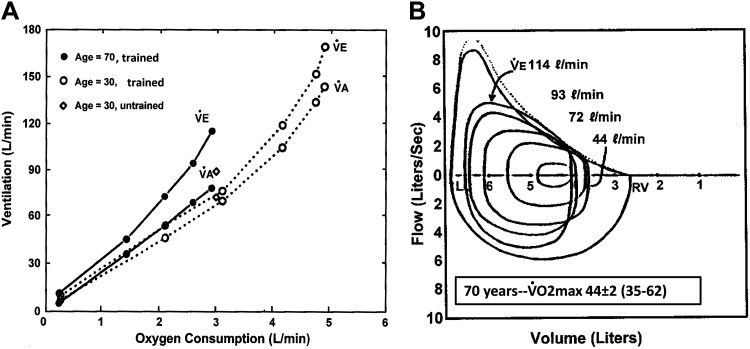 Fig. 9.