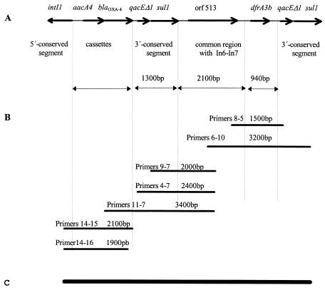 FIG. 2.