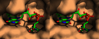 FIGURE 9.