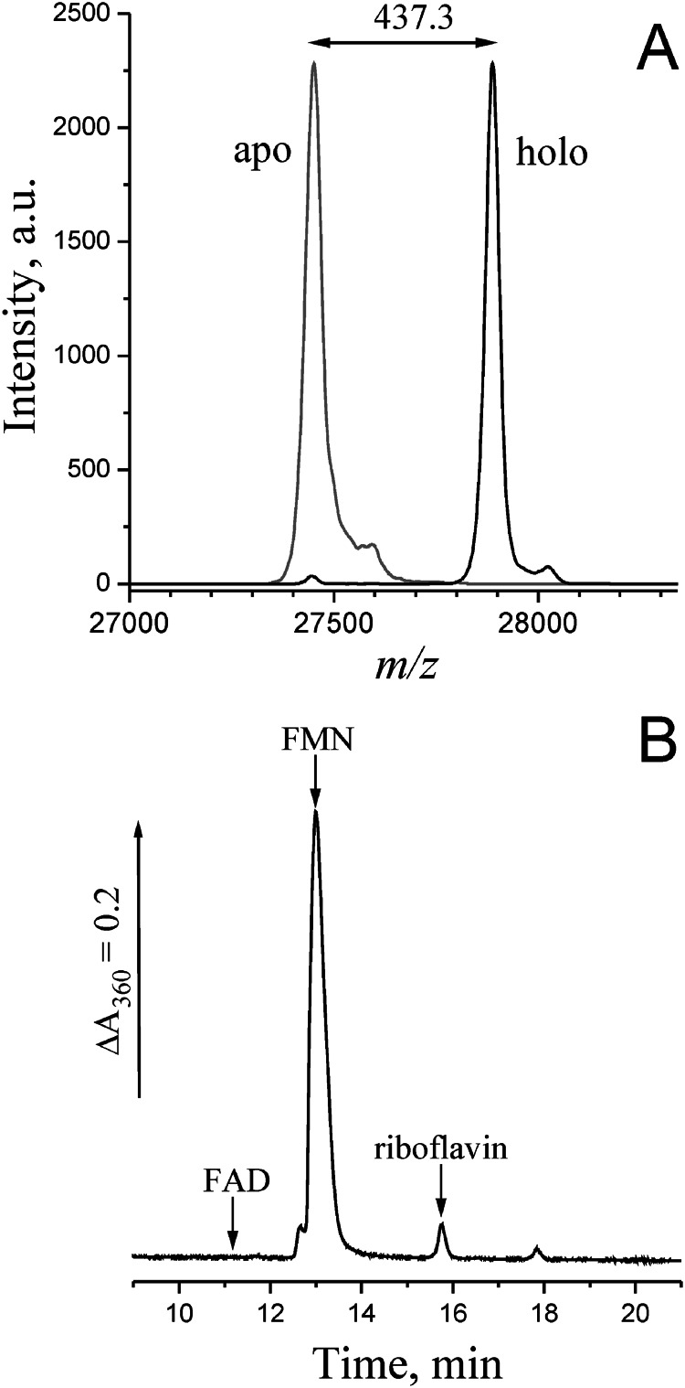 FIGURE 5.