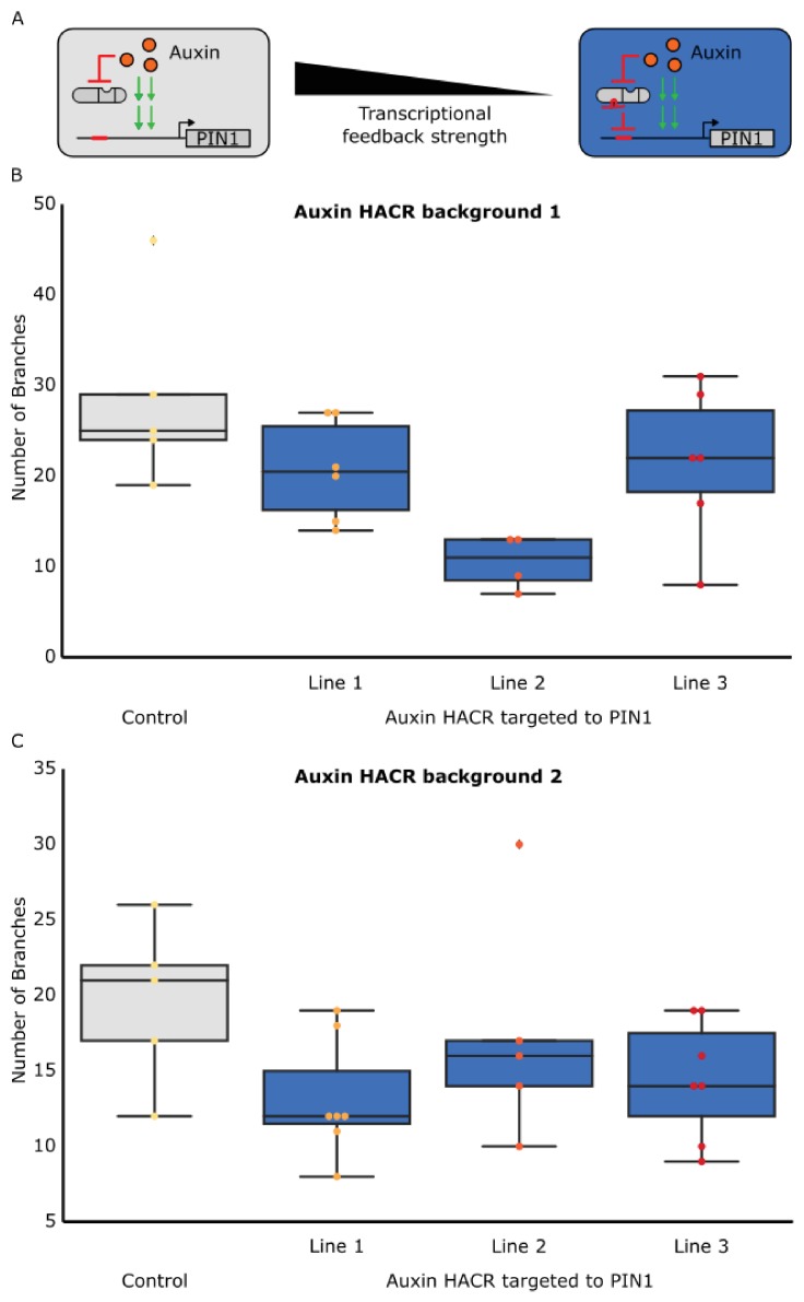 Figure 3—figure supplement 2.