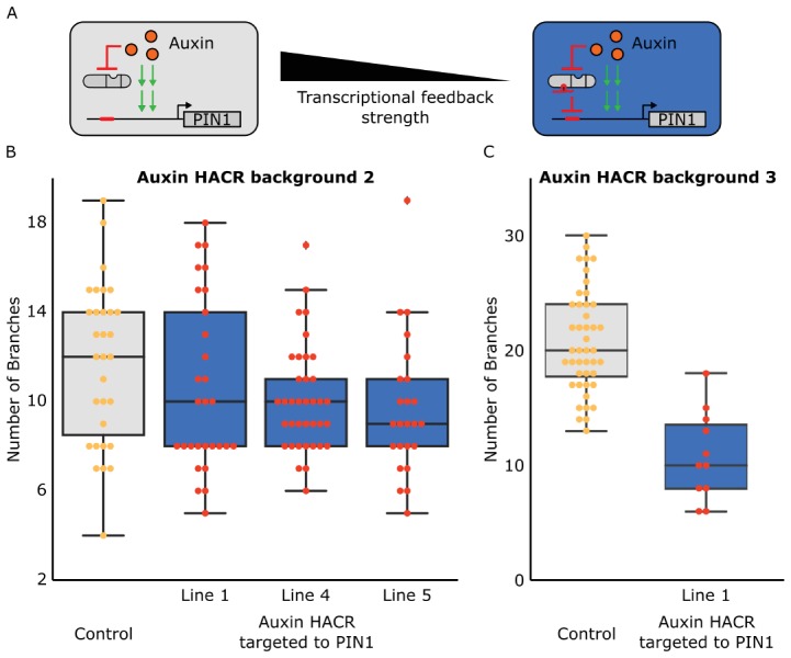 Figure 3—figure supplement 5.