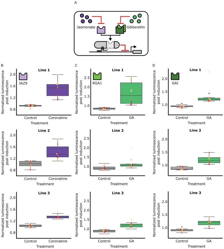 Figure 1—figure supplement 1.