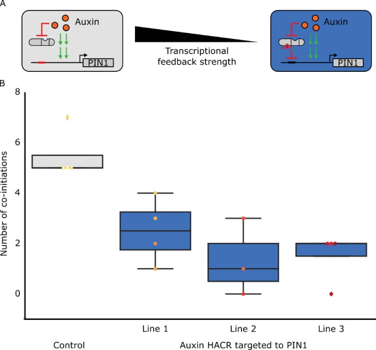 Figure 3—figure supplement 4.