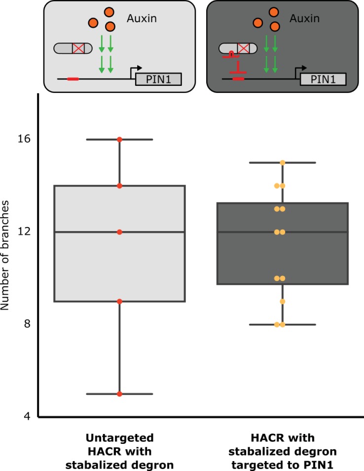 Figure 3—figure supplement 3.