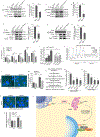 Figure 7: