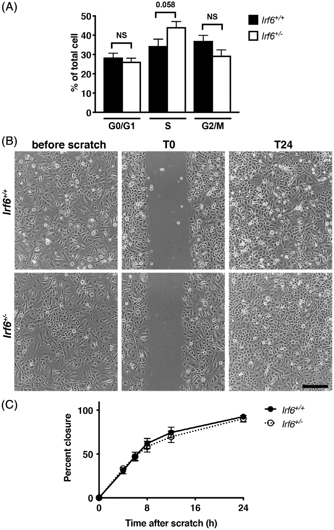 FIGURE 6