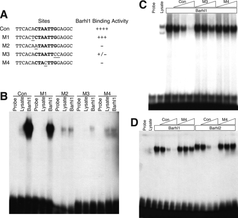 FIG. 4.