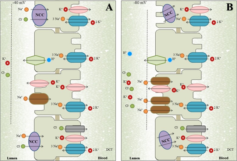 Fig. 2