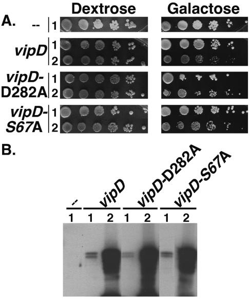 FIG. 7.