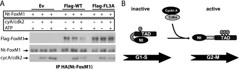 FIG. 8.