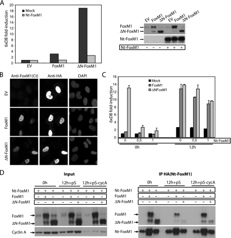 FIG. 6.