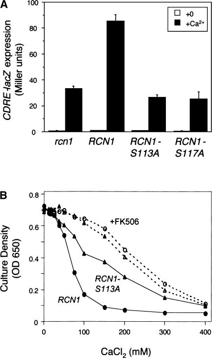 Figure 5.