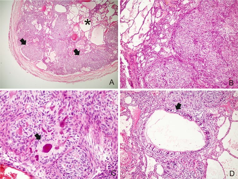 Fig. 2