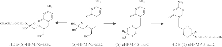 Figure 29