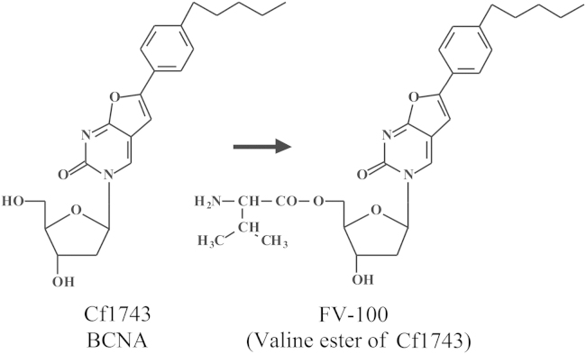 Figure 22