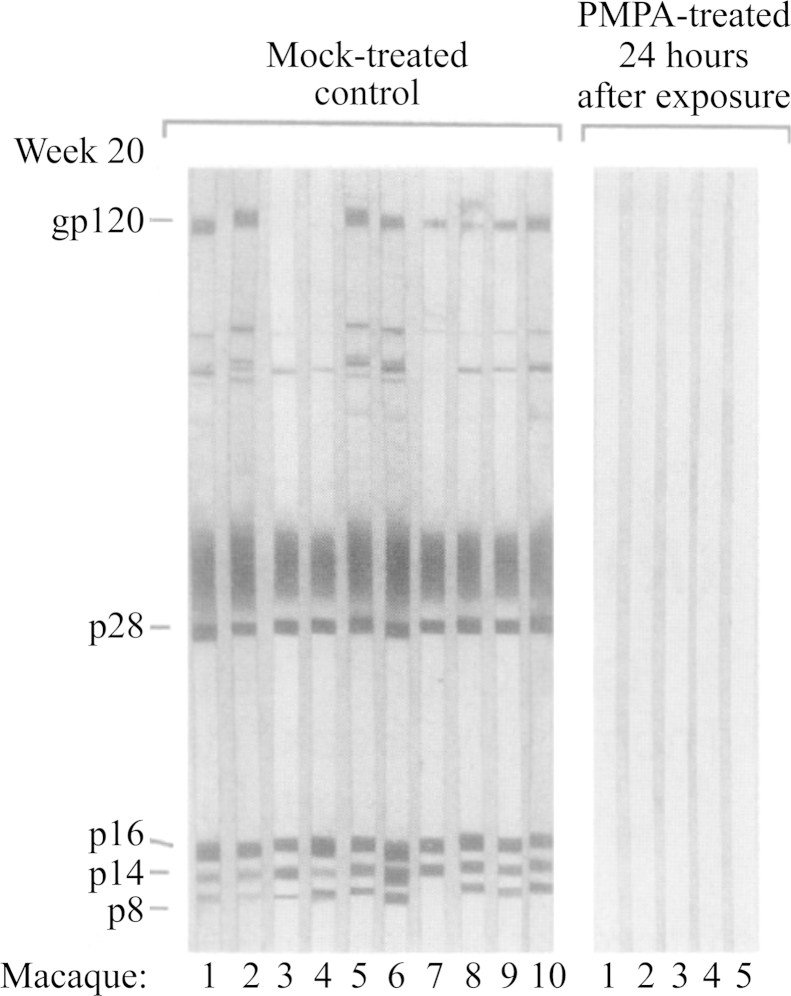 Figure 21