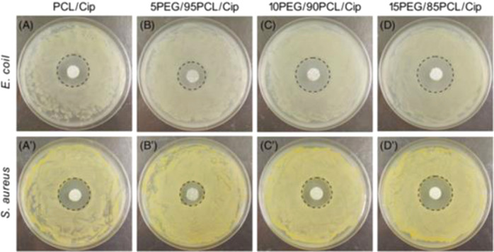 Fig. 10