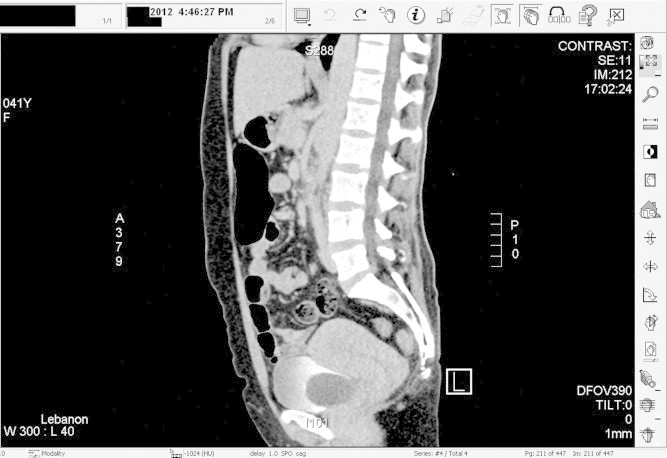 Fig. 4