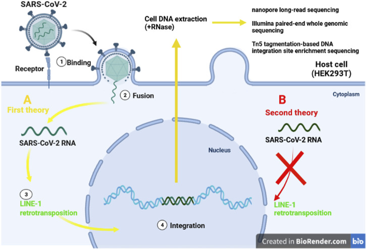 FIGURE 3