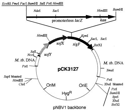 FIG. 1