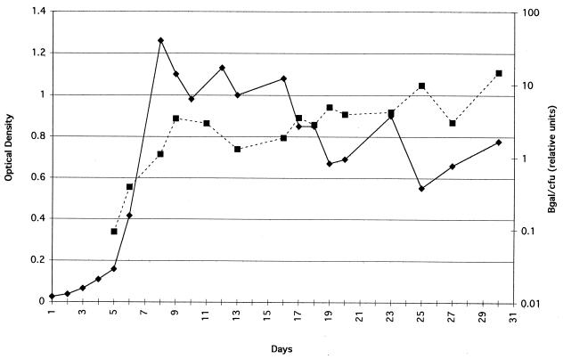 FIG. 5