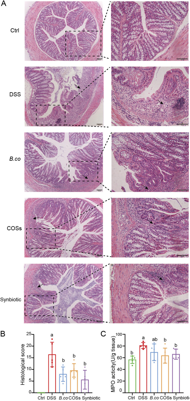 FIG 3