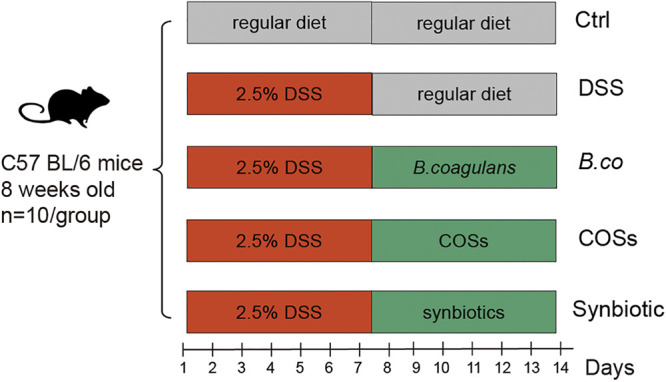 FIG 1