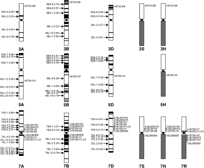 Figure 2.—