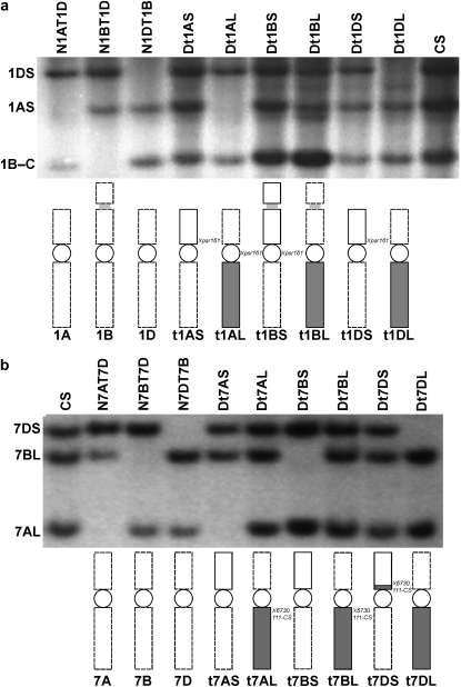 Figure 1.—