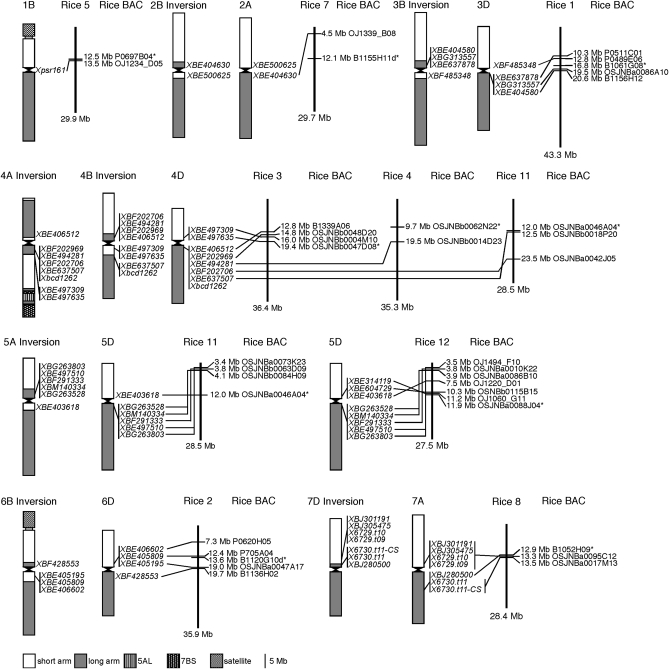 Figure 3.—