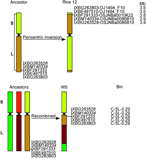 Figure 5.—